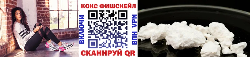Купить  Дальнереченск  COCAIN Fish Scale 