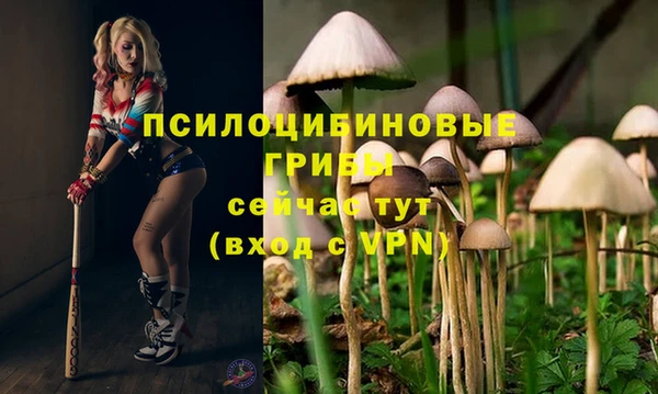 apvp Кодинск