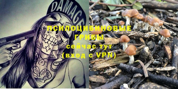 apvp Кодинск