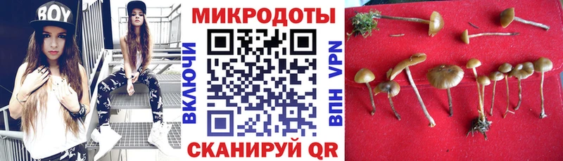 Псилоцибиновые грибы прущие грибы  Купить закладки  Дальнереченск 